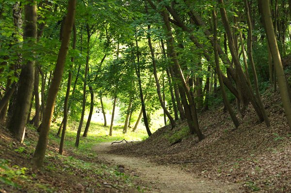 8 Scientifically Proven Reasons To Spend Way More Time Outside